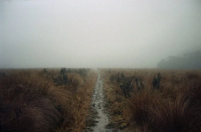 wild wanderings #25
