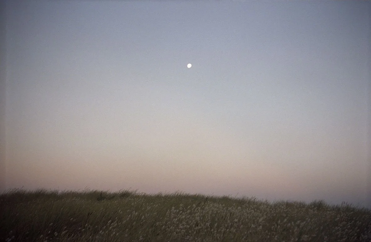image151.jpg