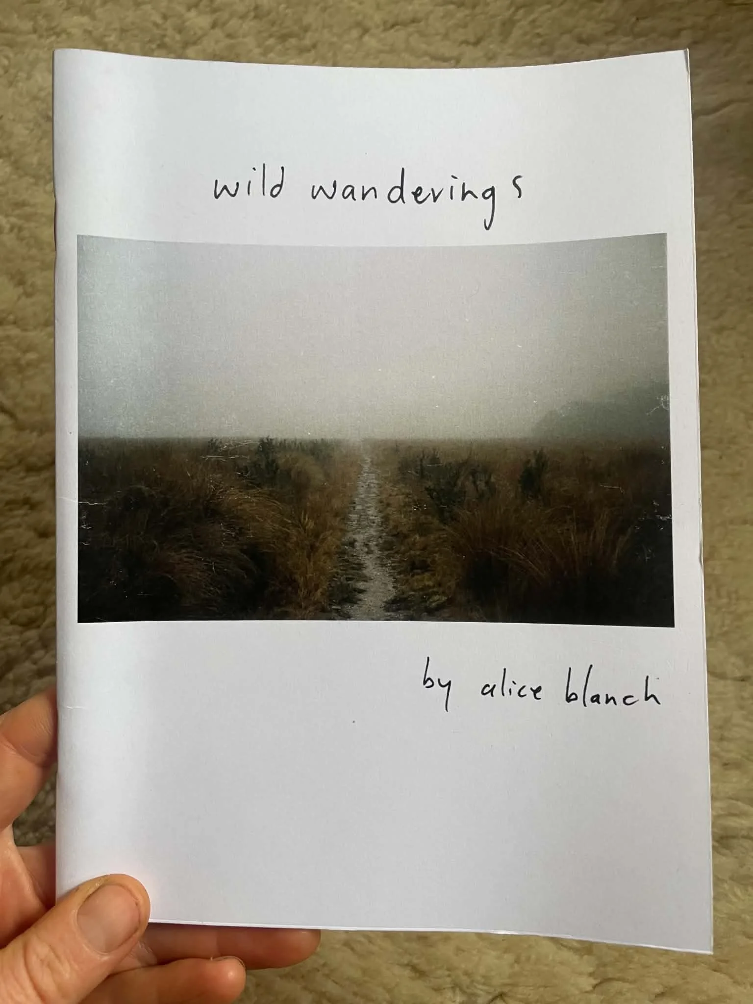 Artist Book- Wild Wanderings
