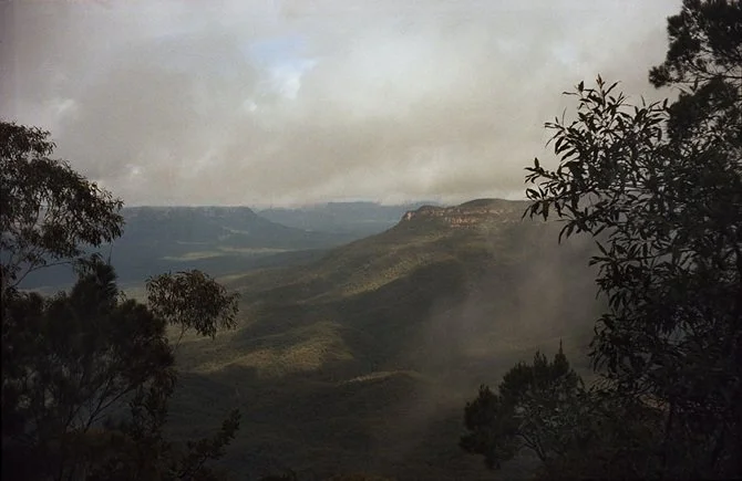 wild wanderings #21