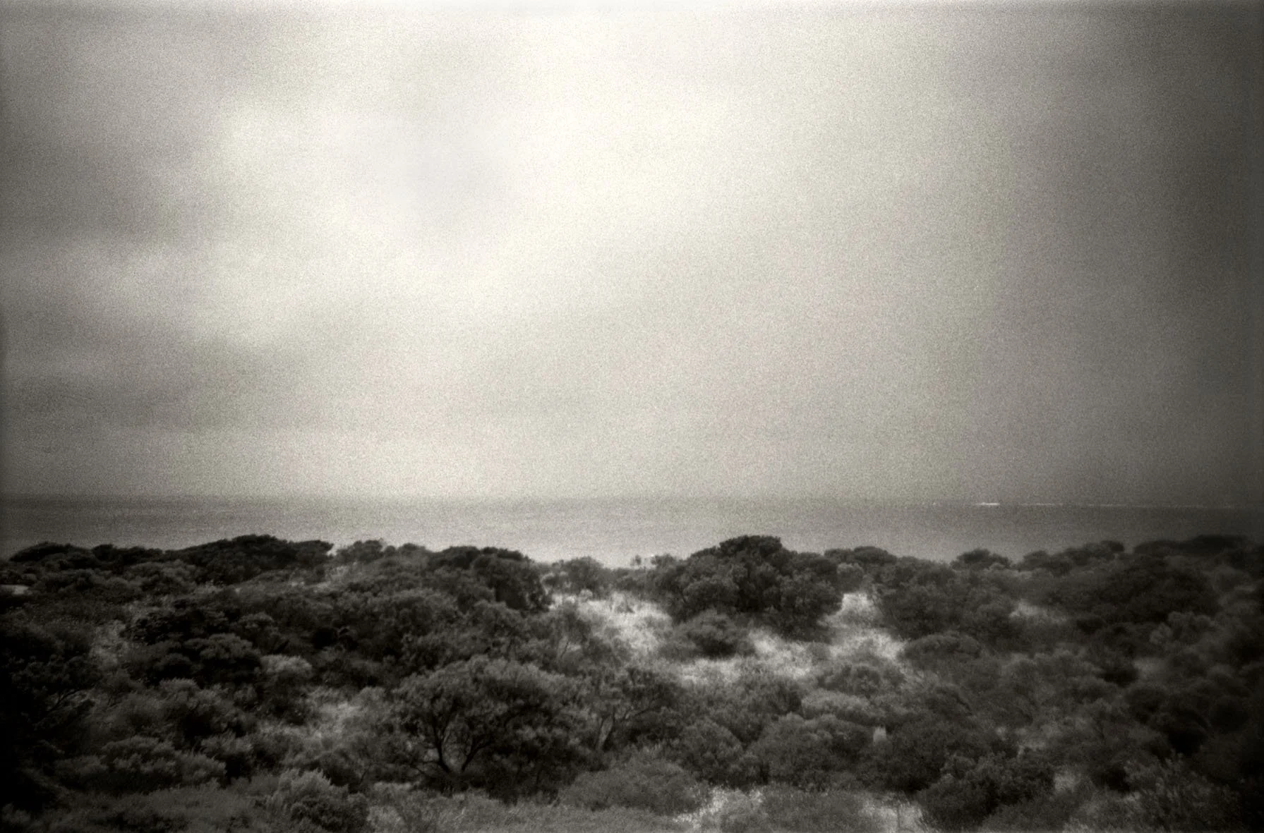 BoxBrownieLandscape#6.jpg