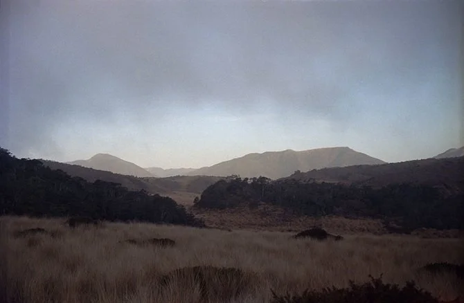 wild wanderings #16