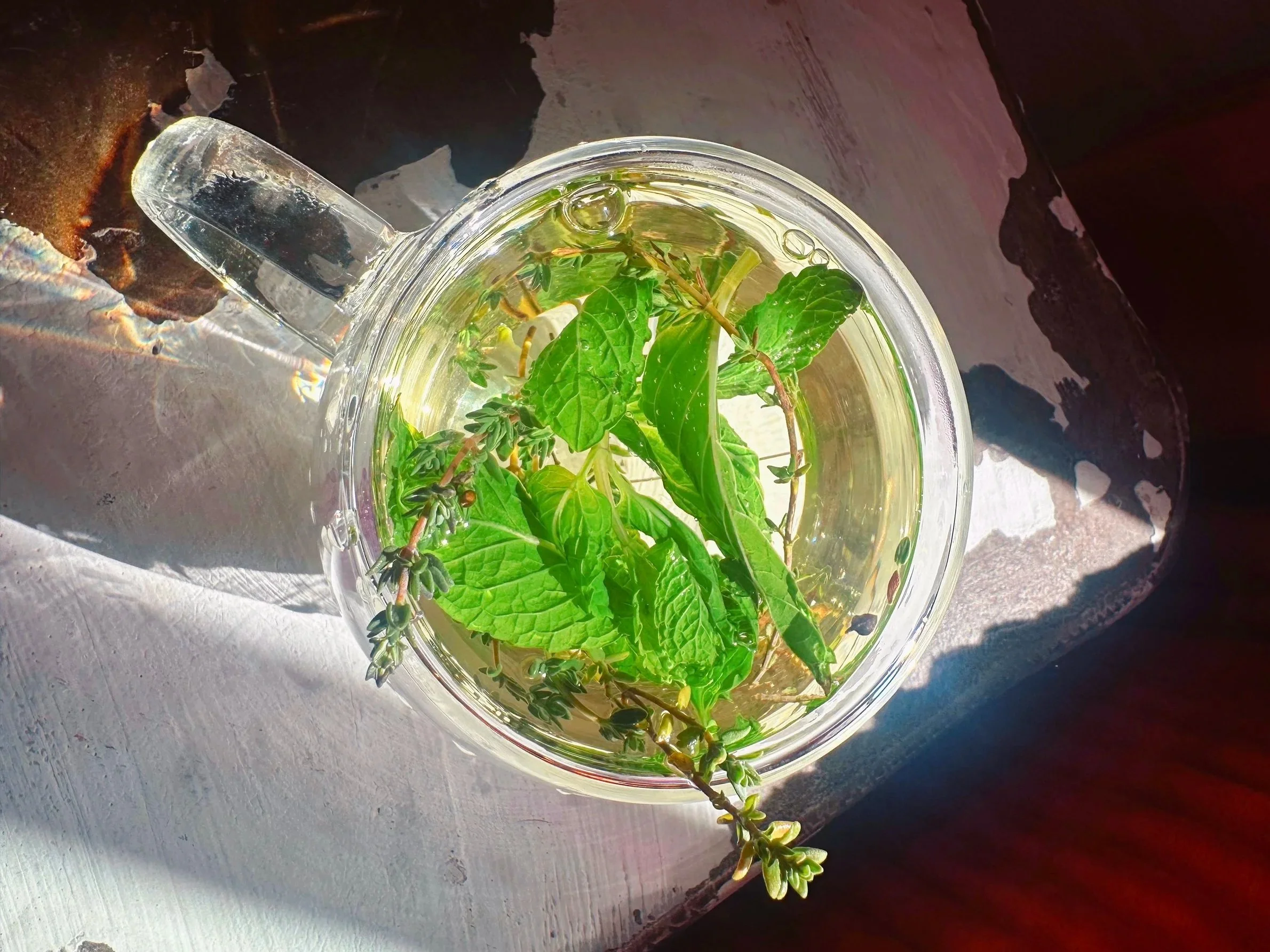 A glass cup filled with water and green plant leaves submerged inside, placed on a surface with sunlight reflecting off it.