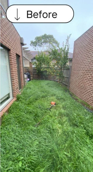 Overgrown backyard with tall grass, edged by brick houses, and a small orange trimmer lying on the grass.