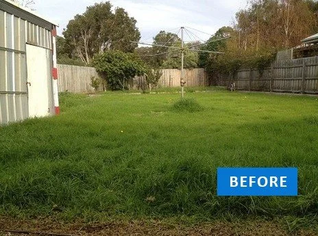 A backyard with green grass, a wooden fence, trees, and an overcast sky, labeled 'BEFORE'.
