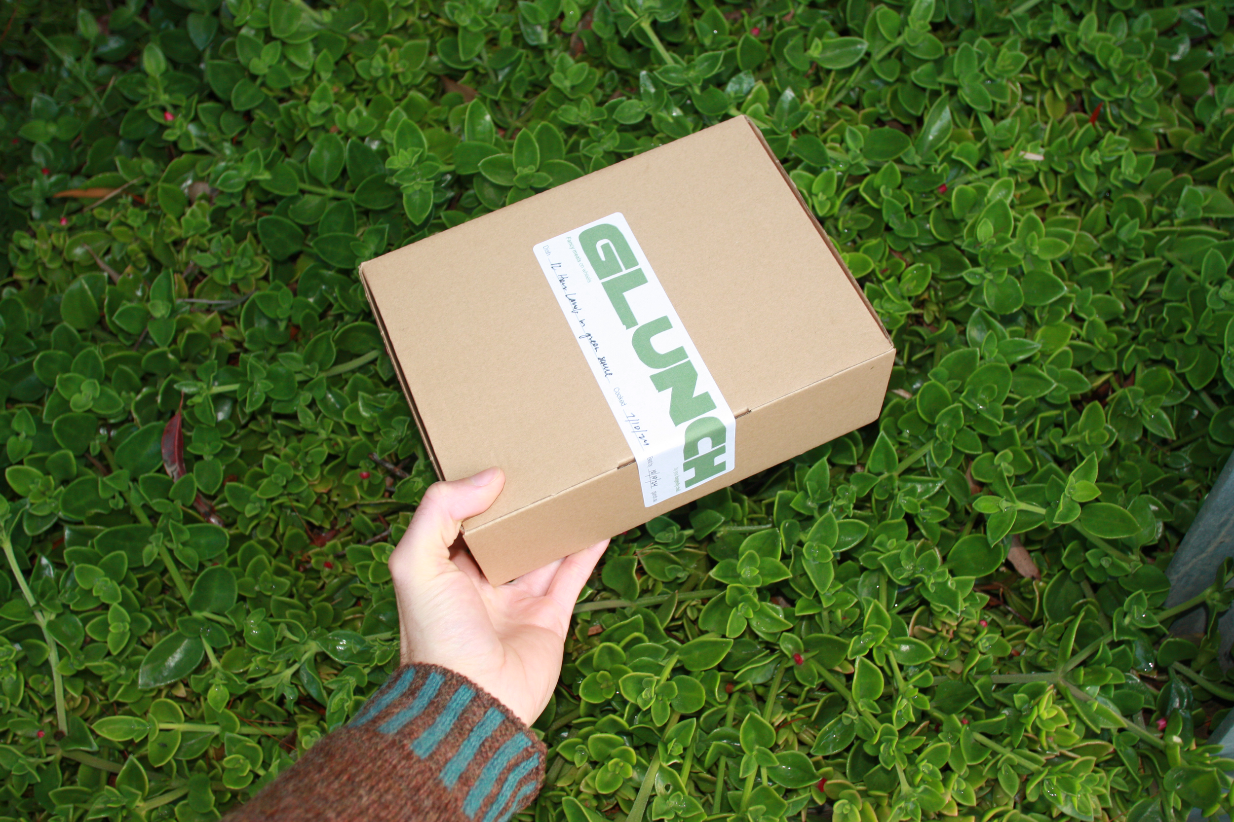 Person holding a cardboard box with 'GLUNCH' label over a bed of green plants.