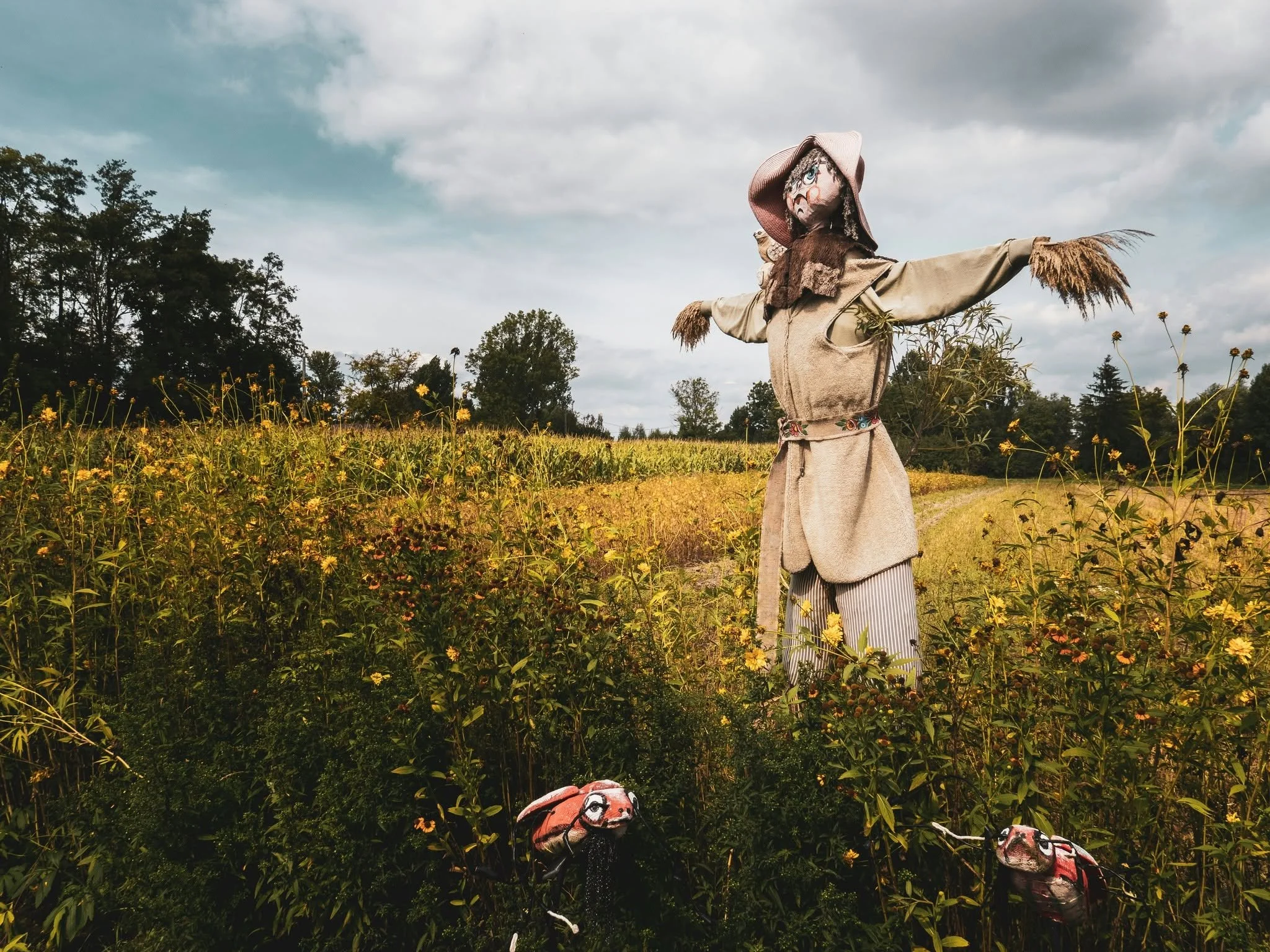 Don’t Be The Scarecrow (The Friday Ficks S5 E46)
