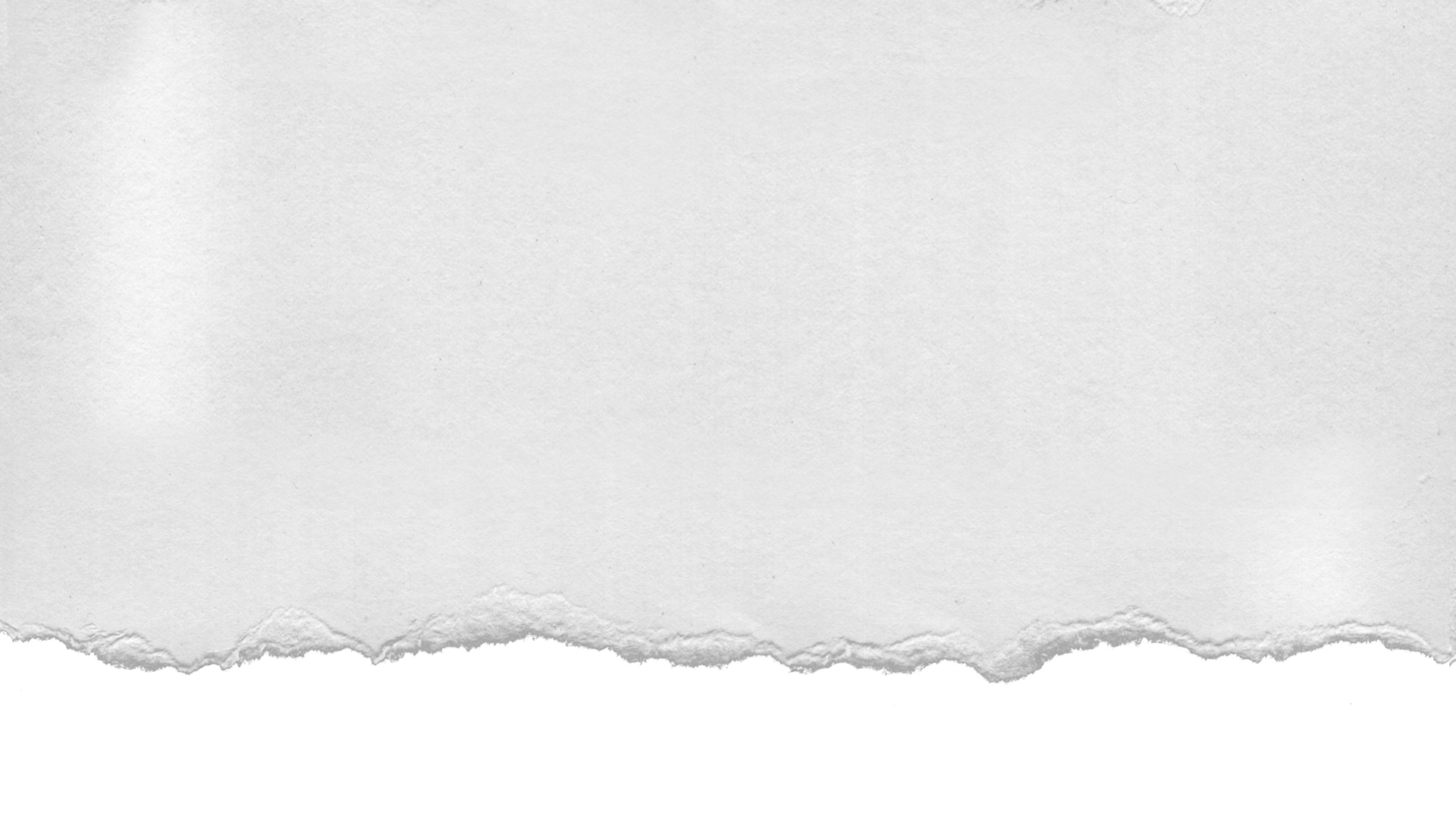 Blank torn piece of textured white paper with uneven edges at the bottom