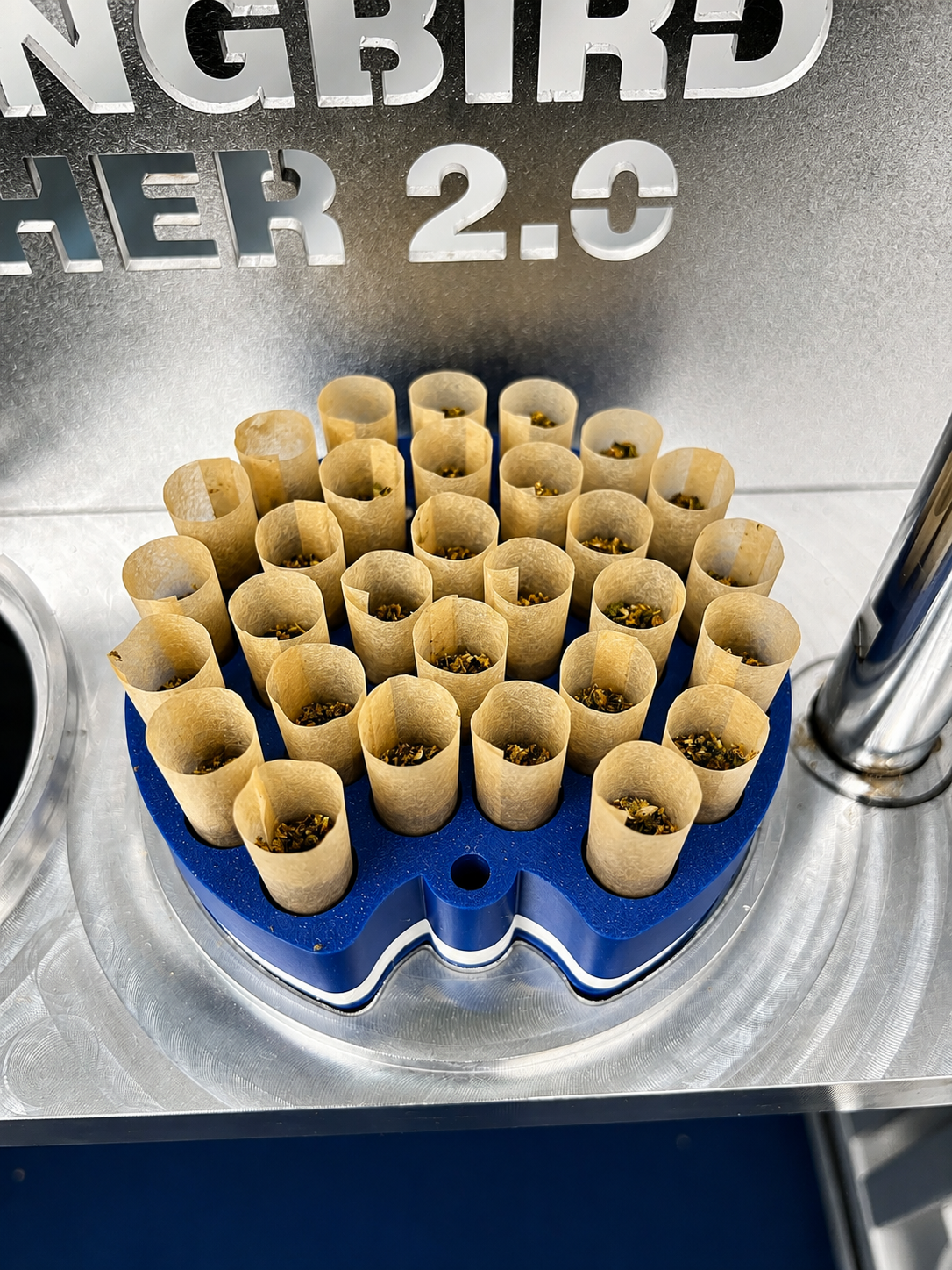 Filled prerolls in a Hummingbird Finisher pod during high-volume preroll production and Dutch crown finishing