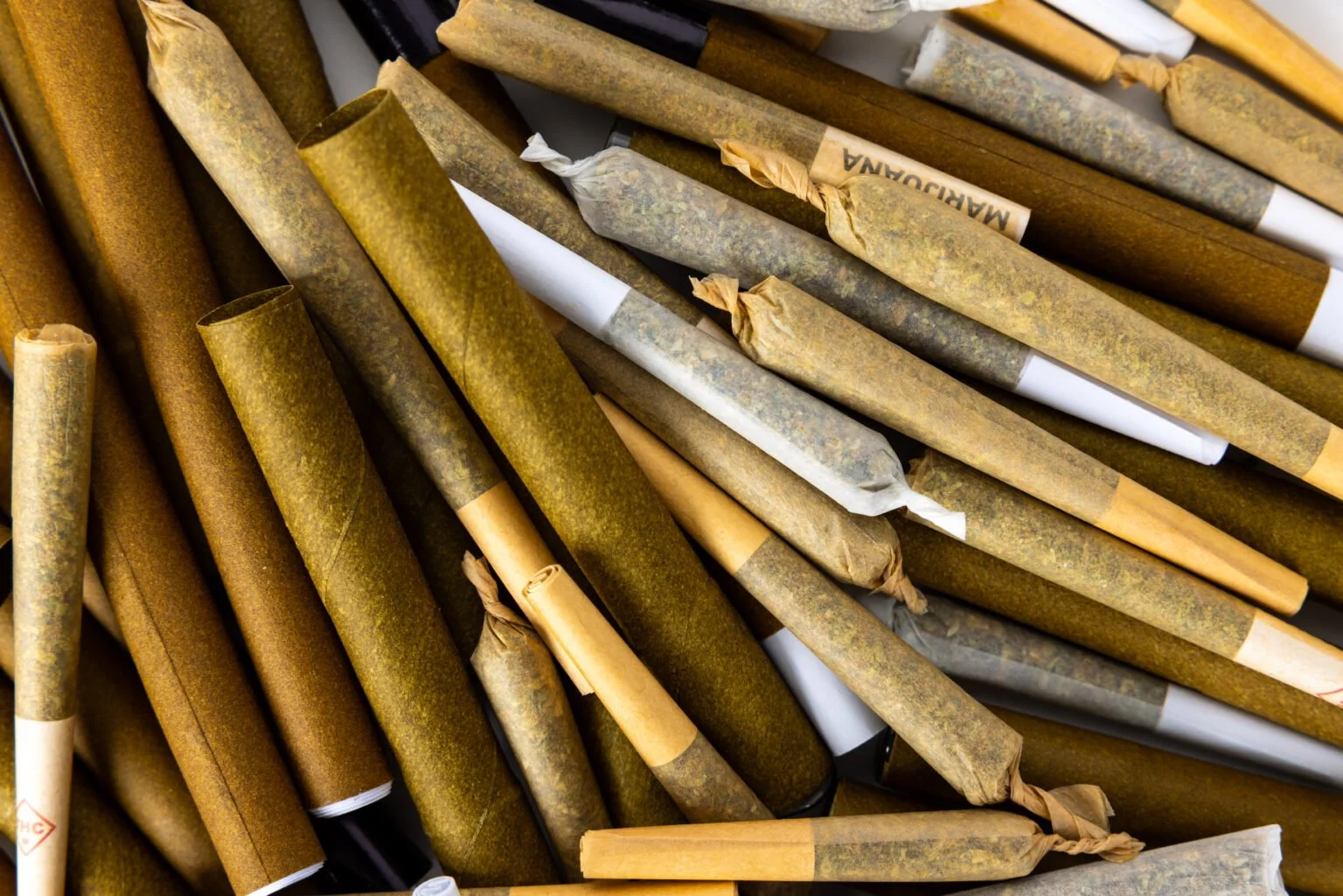 Hummingbird Glossary: Preroll Edition