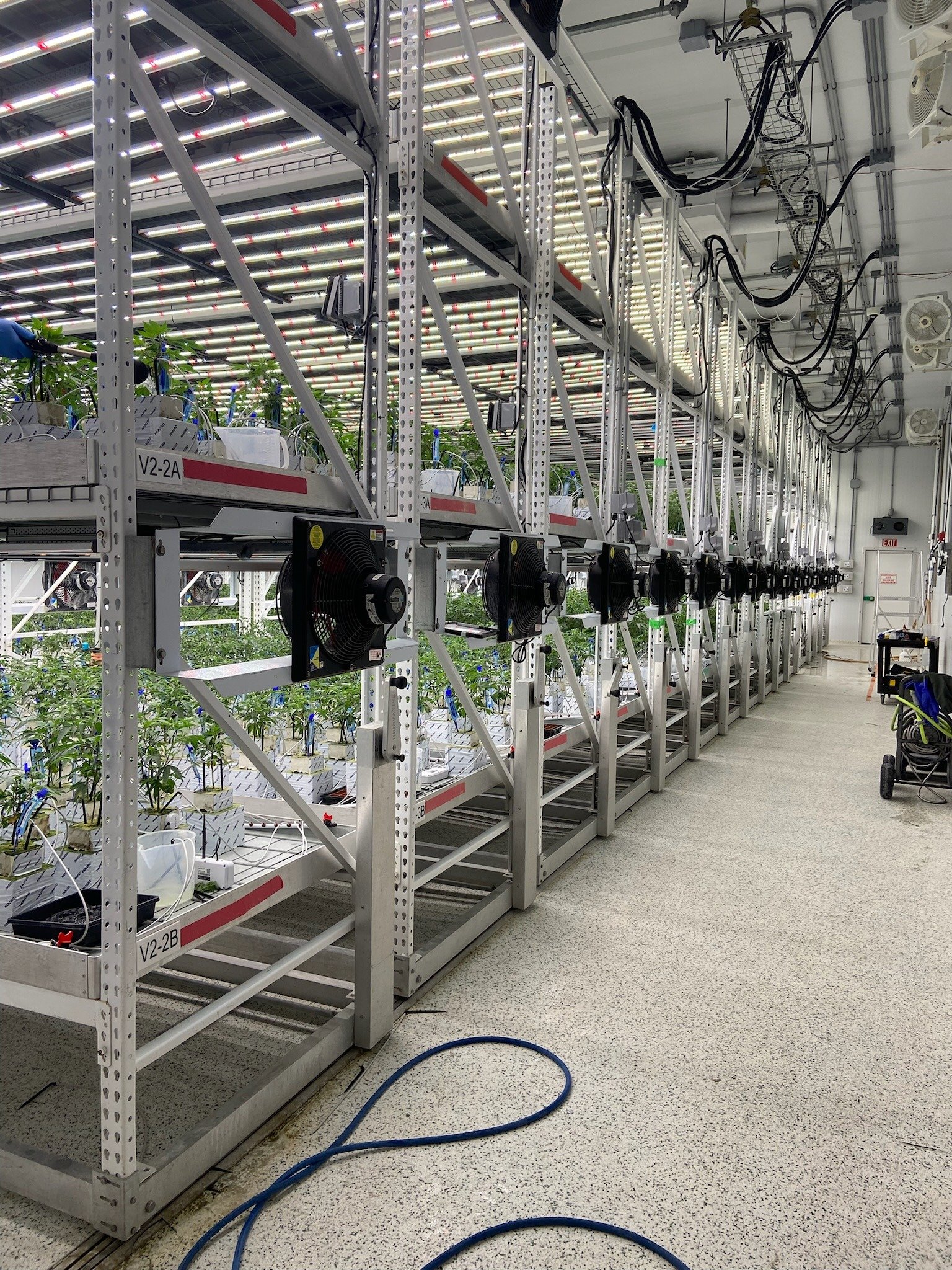 An indoor facility with two tiers of plant racks, lights, fans, and piping.