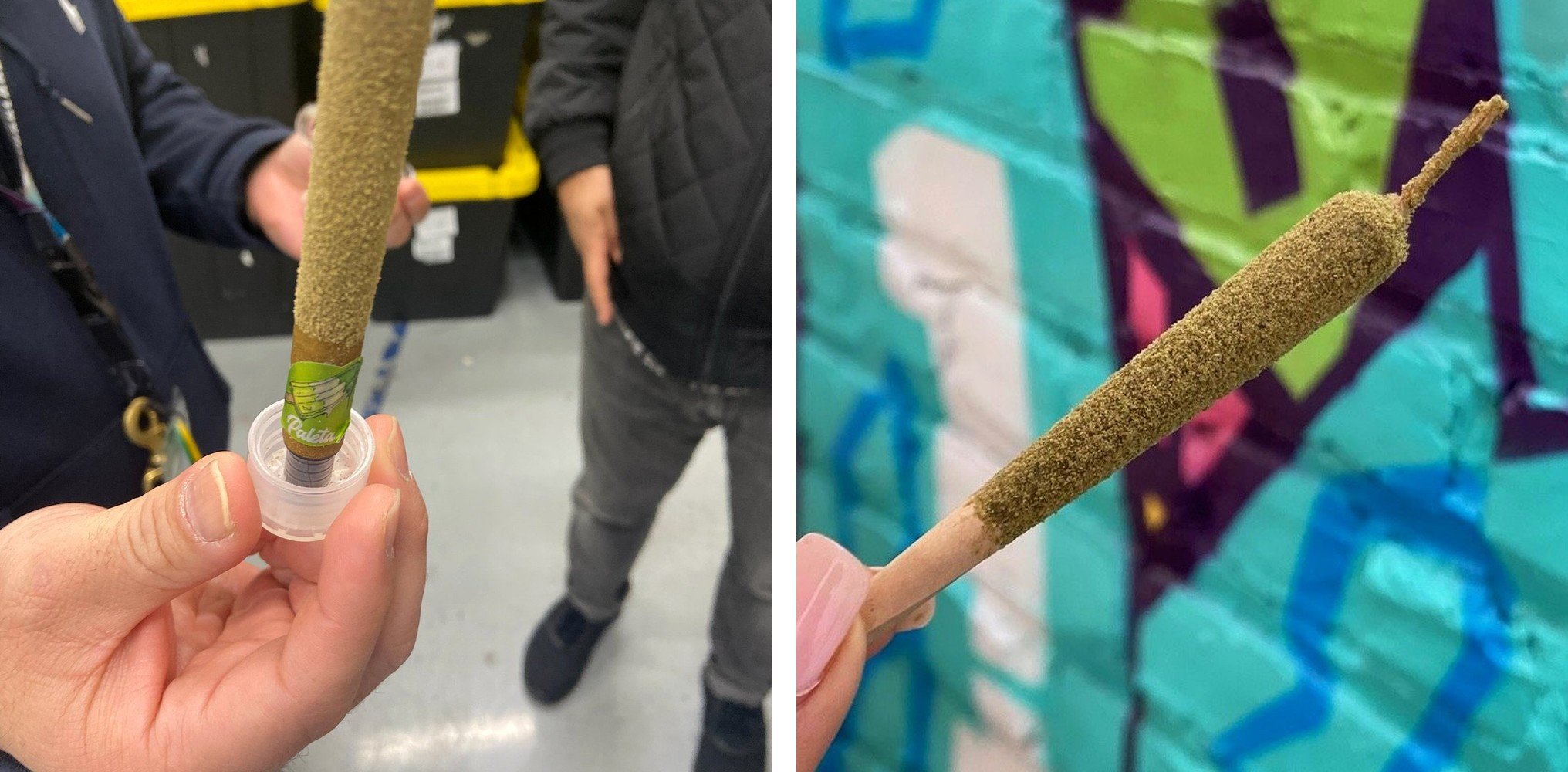 Two externally infused prerolls with visible kief and heavy exterior coatings