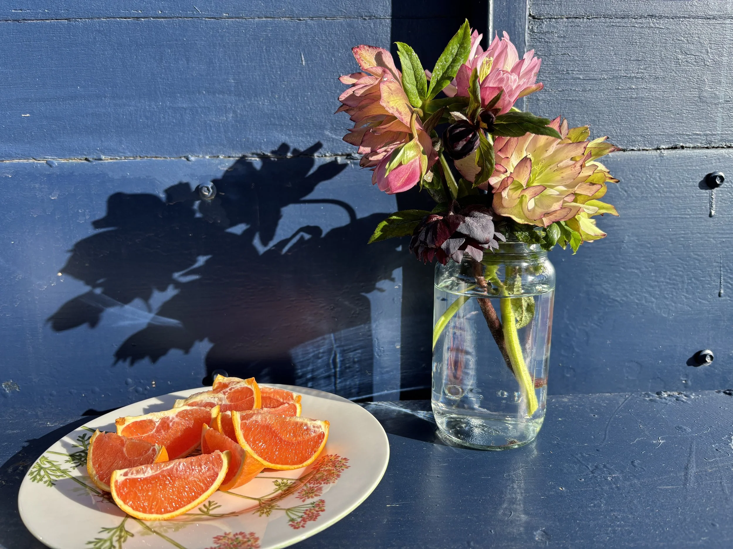 A glass jar holding a bouquet of pink and green flowers, on the outside of the mobile sauna. A white plate with slices of grapefruit and orange in front of the jar. The background is a blue wooden sauna, with shadows of the flowers cast on it.