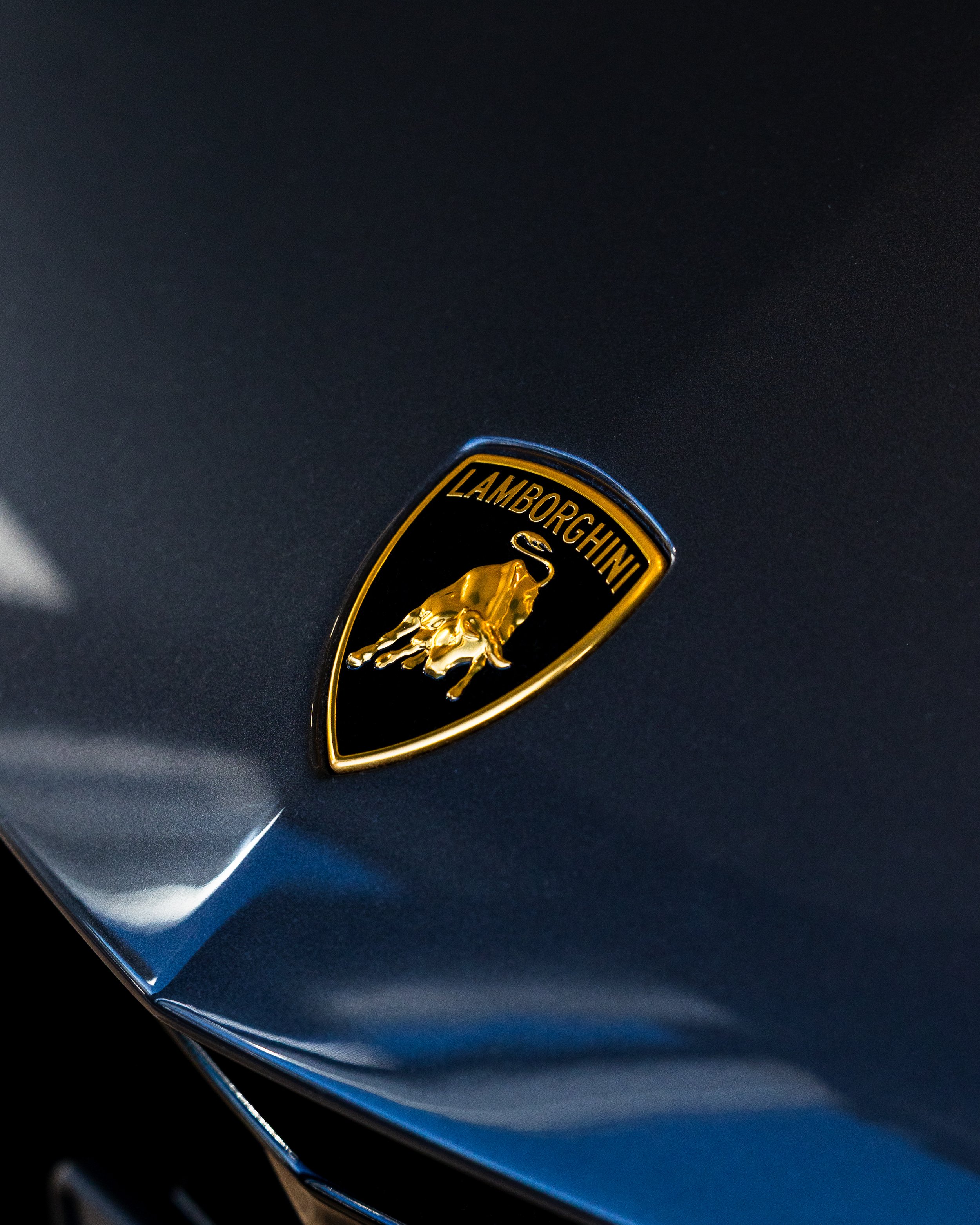 Close-up of a Lamborghini emblem on the hood of a dark-colored car.