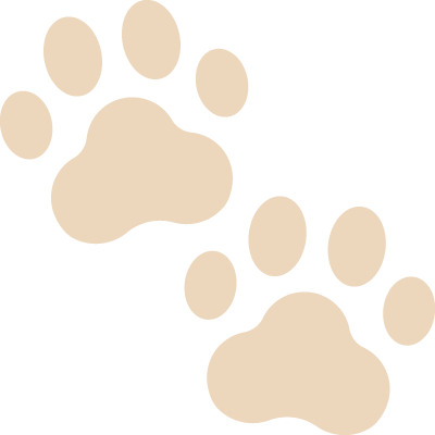 Dog Walking Dog Paws Icon
