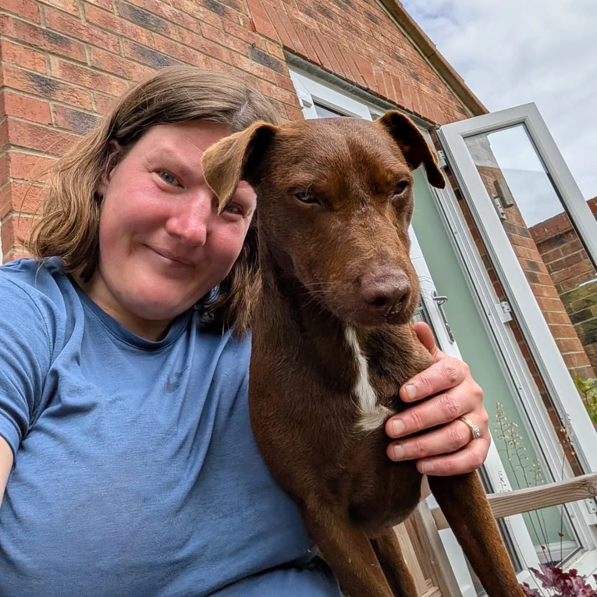Charlie with a Chocolate Labrador puppy