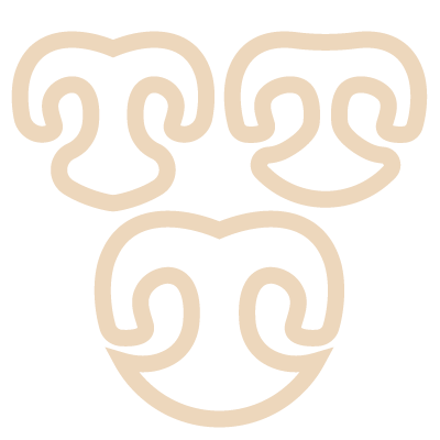 Outlines of unique animal noses