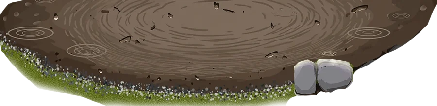 Close-up of a muddy puddle with ripples, surrounded by green grass and a few small stones.