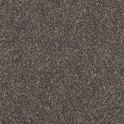 Close-up of a textured, brown asphalt surface.