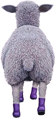 Back view of a fluffy, gray sheep wearing purple boots
