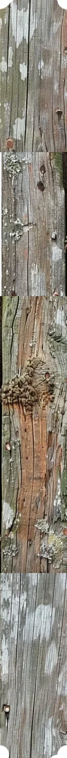 A collage of four close-up shots of weathered wooden fence panels, showcasing texture and natural aging signs such as moss, lichen, cracks, and knots.