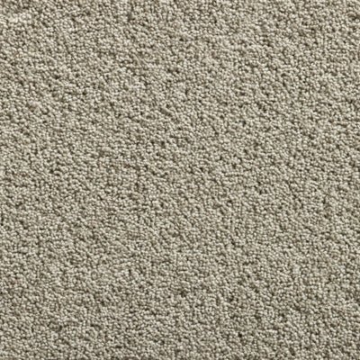 A close-up of beige carpet fibers.