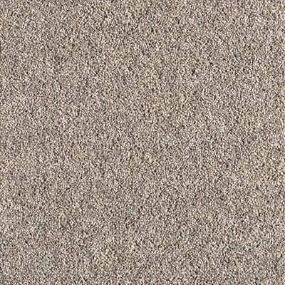 A close-up view of beige carpet fibers.