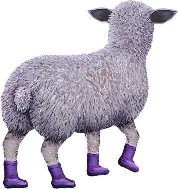 A fluffy sheep wearing purple rain boots.