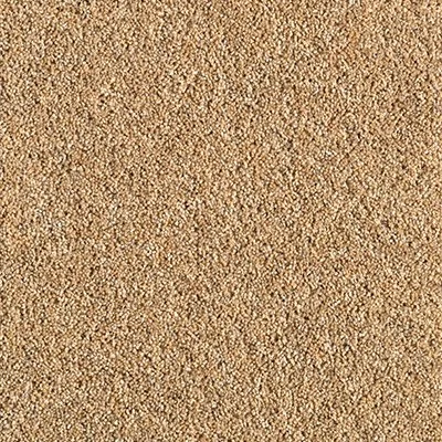 Close-up of a textured beige carpet