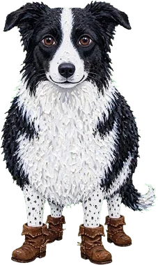 A dog dressed in brown boots, with wet fur and an adorable expression.