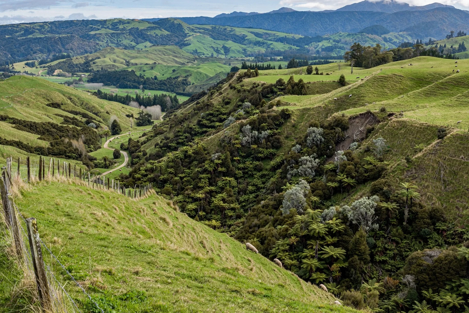 Green rolling hills with a winding dirt road, scattered sheep, and lush trees under a cloudy sky.