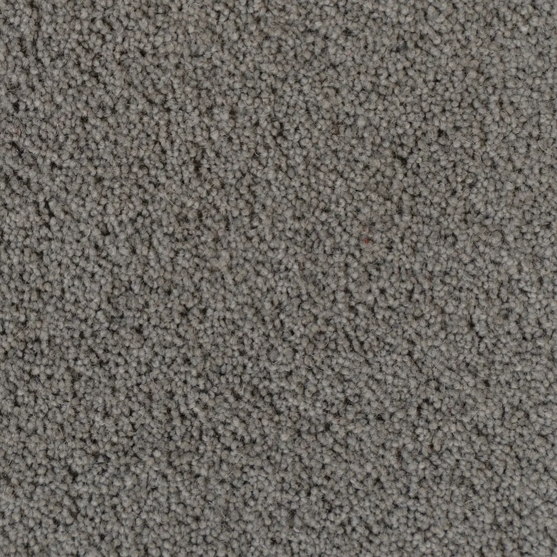 A close-up view of a gray, textured carpet with small, tightly packed loops.