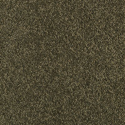 Close-up of textured surface with small, multicolored grains