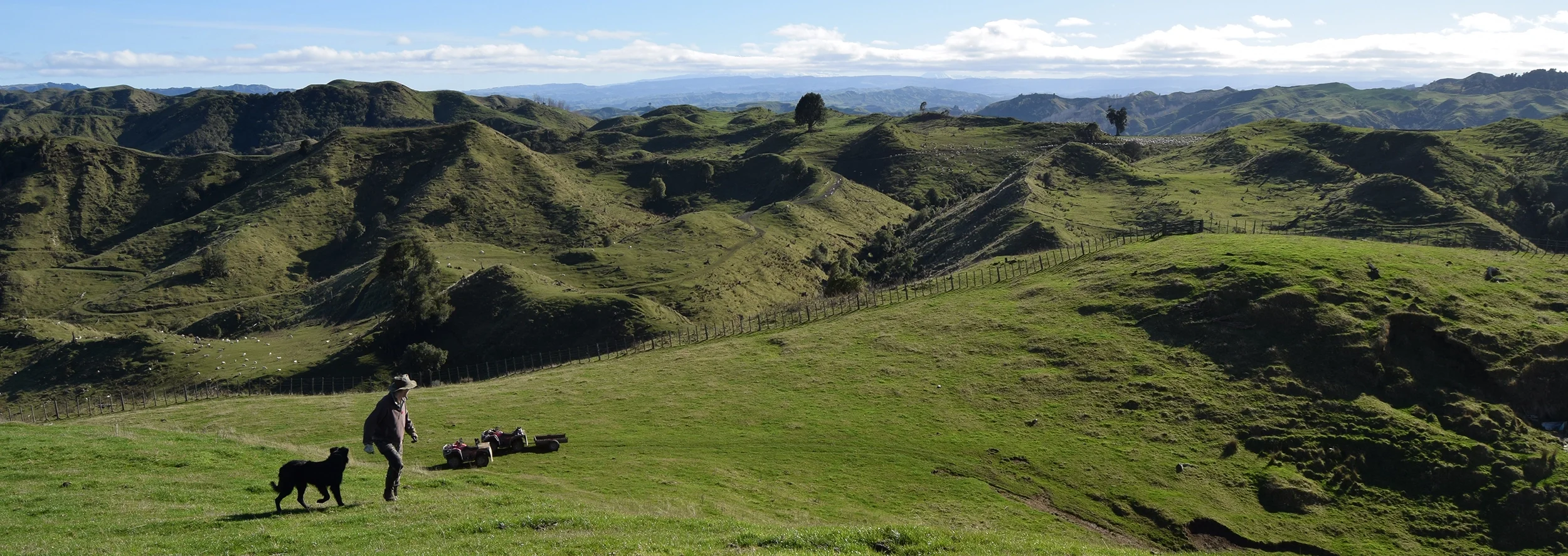 Person walking a dog on a grassy hillside with green rolling hills and mountains in the background.