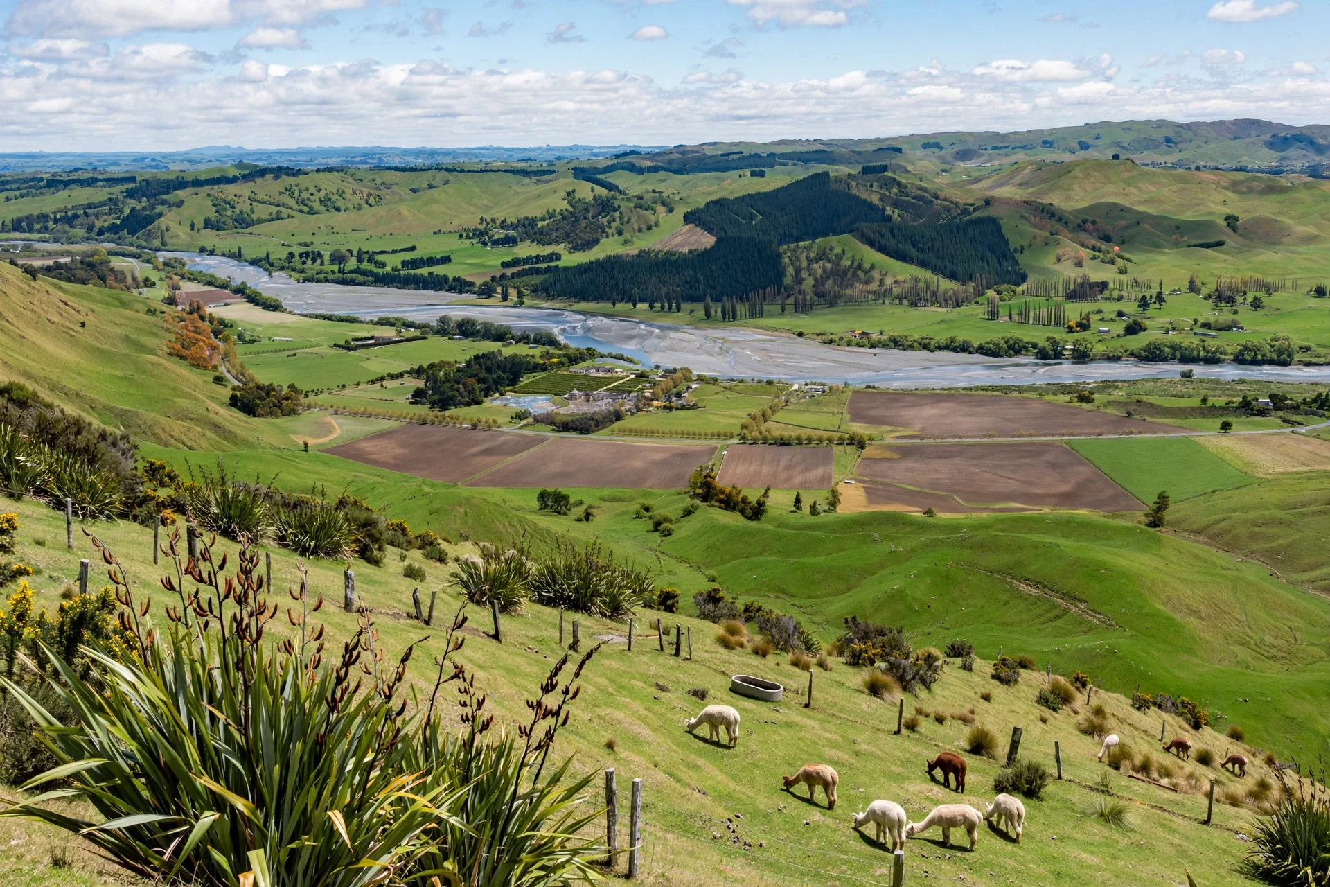 A scenic landscape of lush green rolling hills with a river flowing through the valley, farmland patches, trees, and grazing sheep in the foreground.