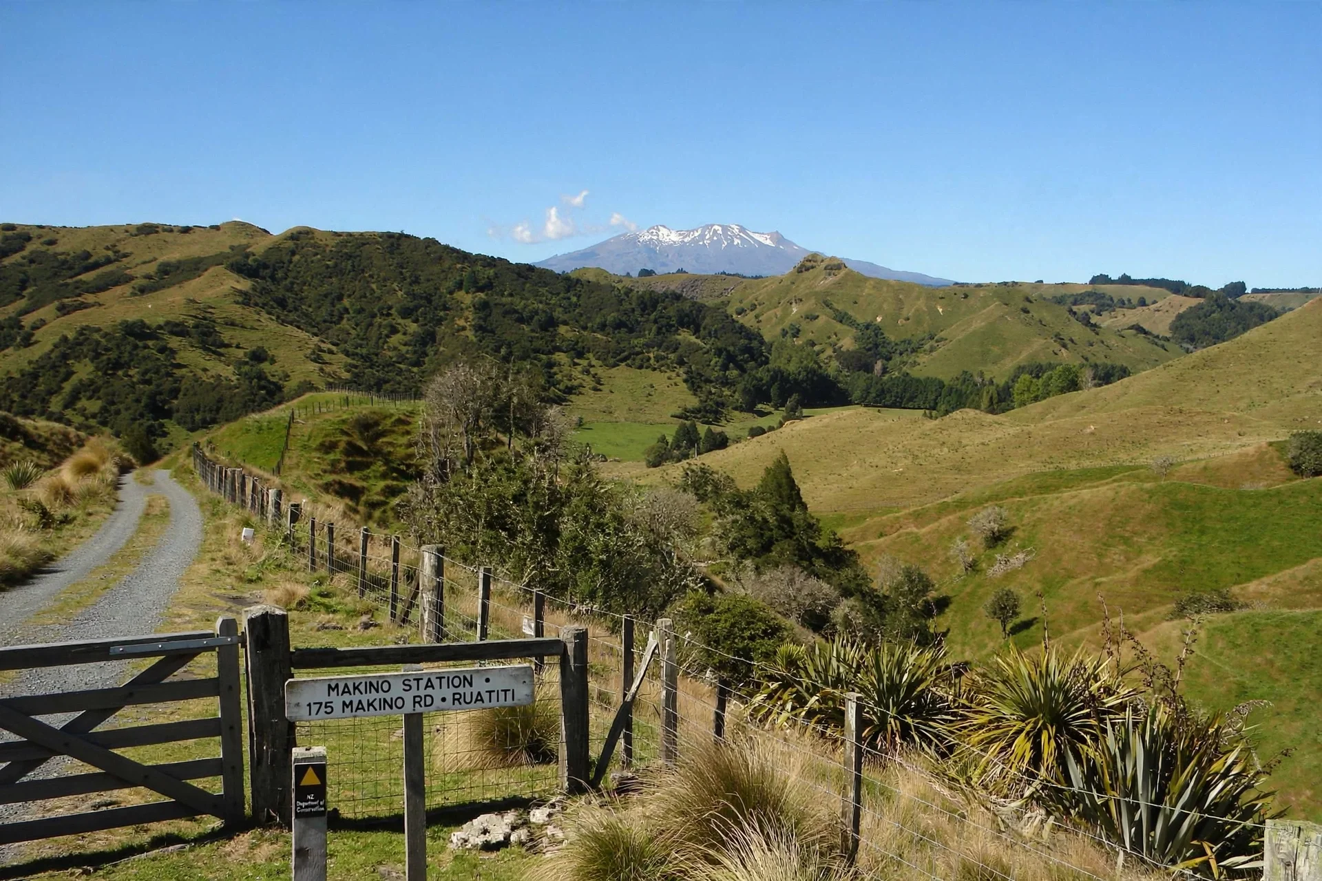 Gravel driveway leading to a gate with a sign that says 'Makino Station 175 Makino Rd Ruatahi,' surrounded by trees and grassy hills, with a snow-capped mountain in the background under a clear blue sky.