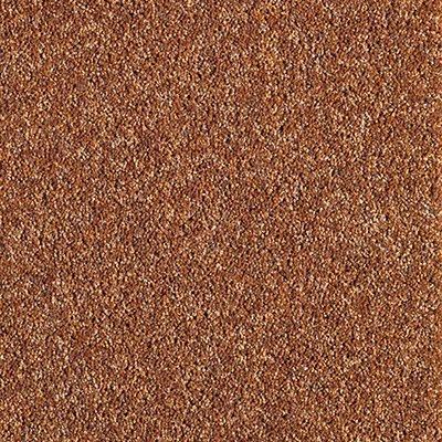 Close-up of a textured, reddish-brown surface, possibly gravel or sand.