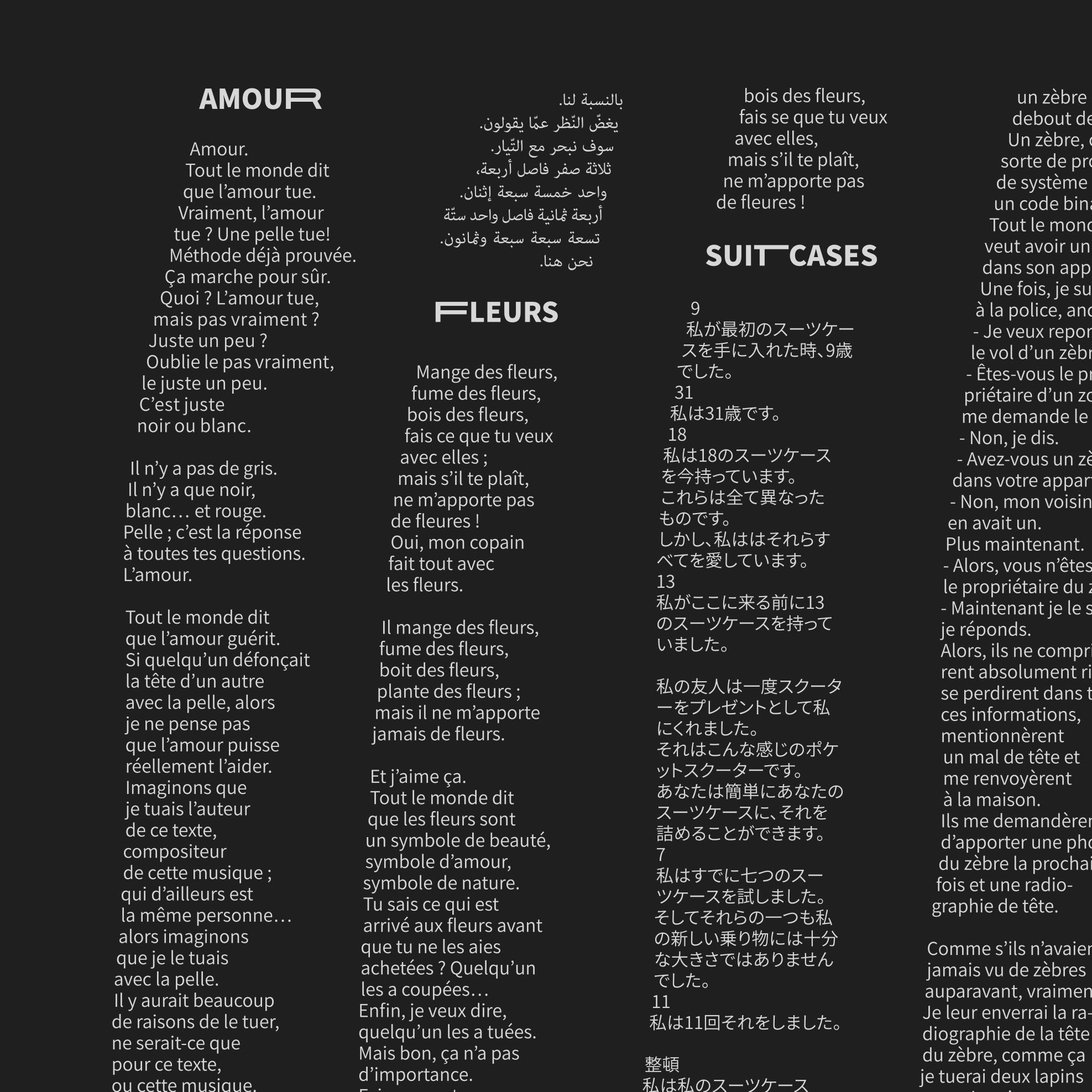 Zèbre vinyl - Page of a multilingual vinyl  inner sleeve