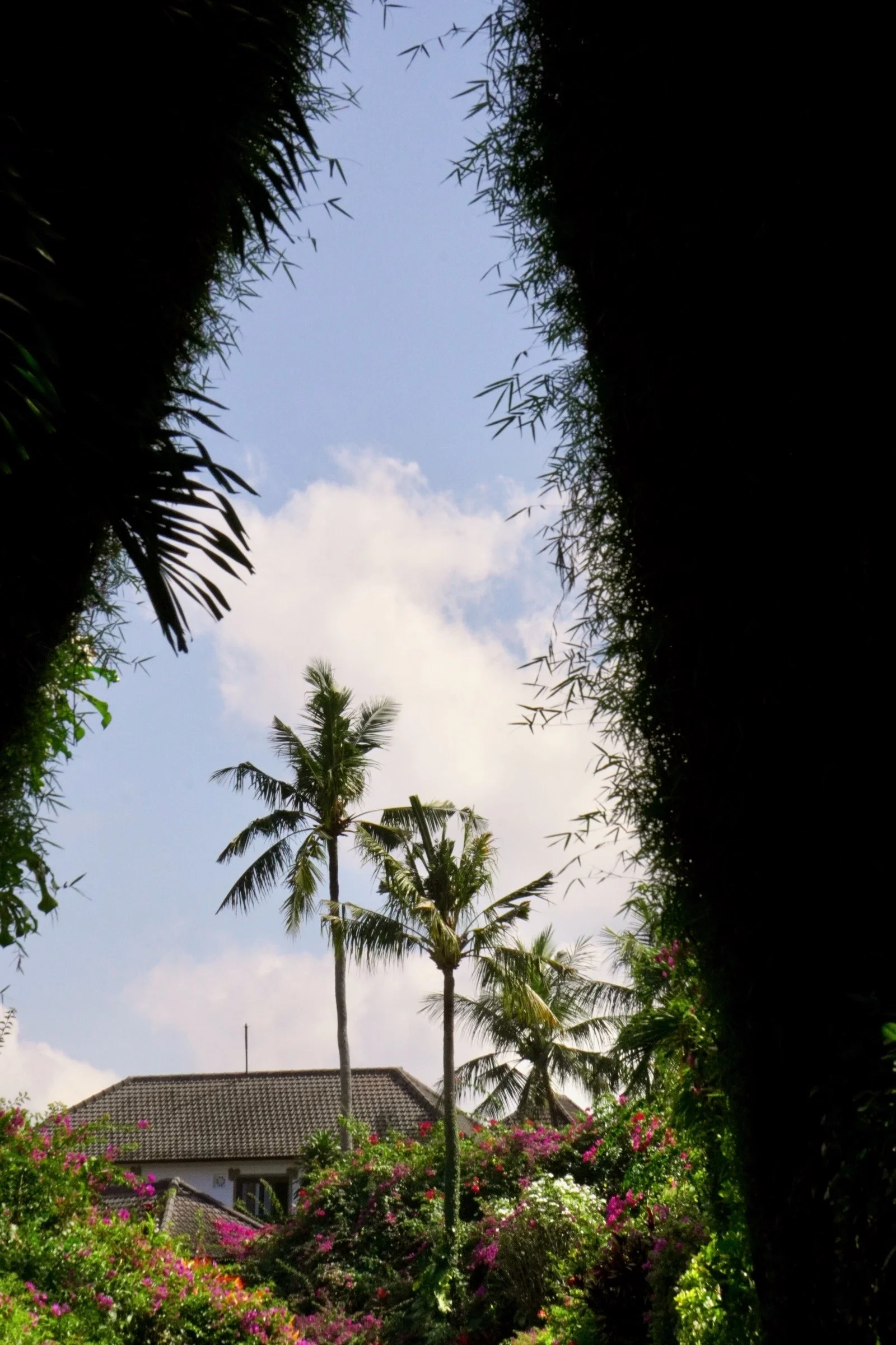 DSC03452.jpeg