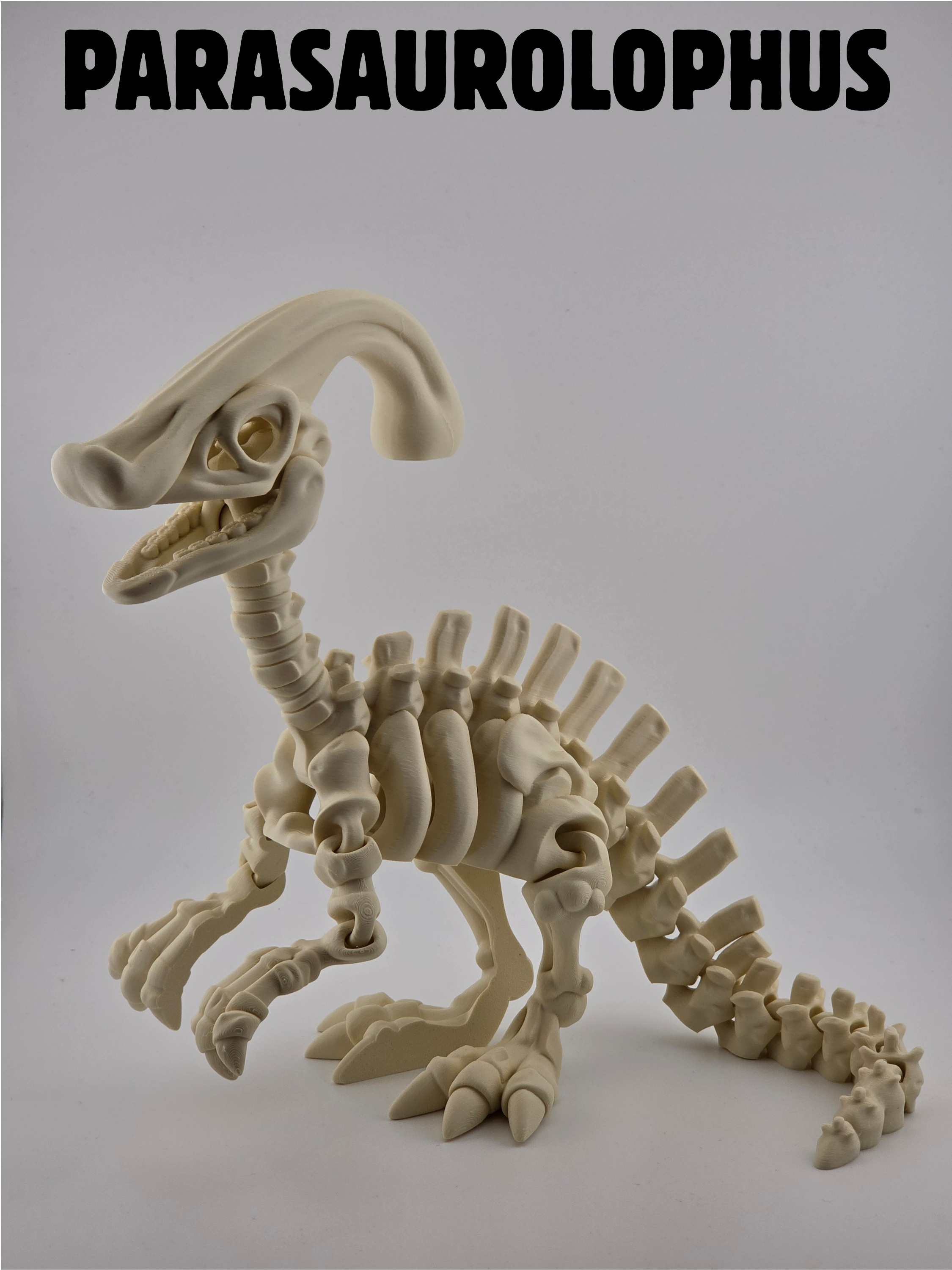A skeleton model of a Parasaurolophus dinosaur with a distinctive elongated head crest, standing on a white surface against a gray background.