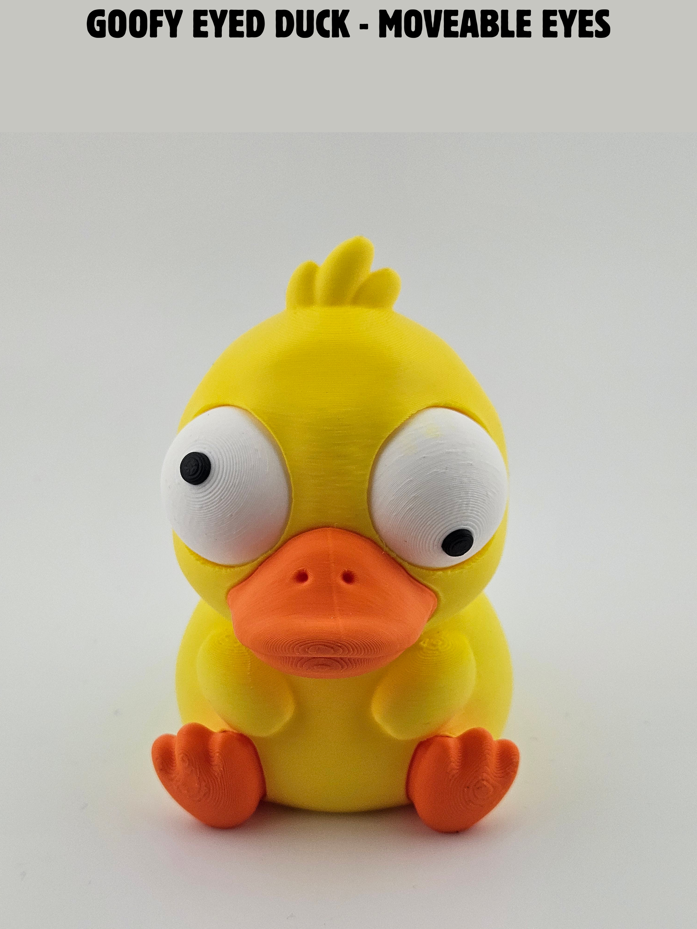 Goofy Eyed Duck