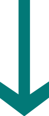 A downward-pointing teal arrow on a white background.