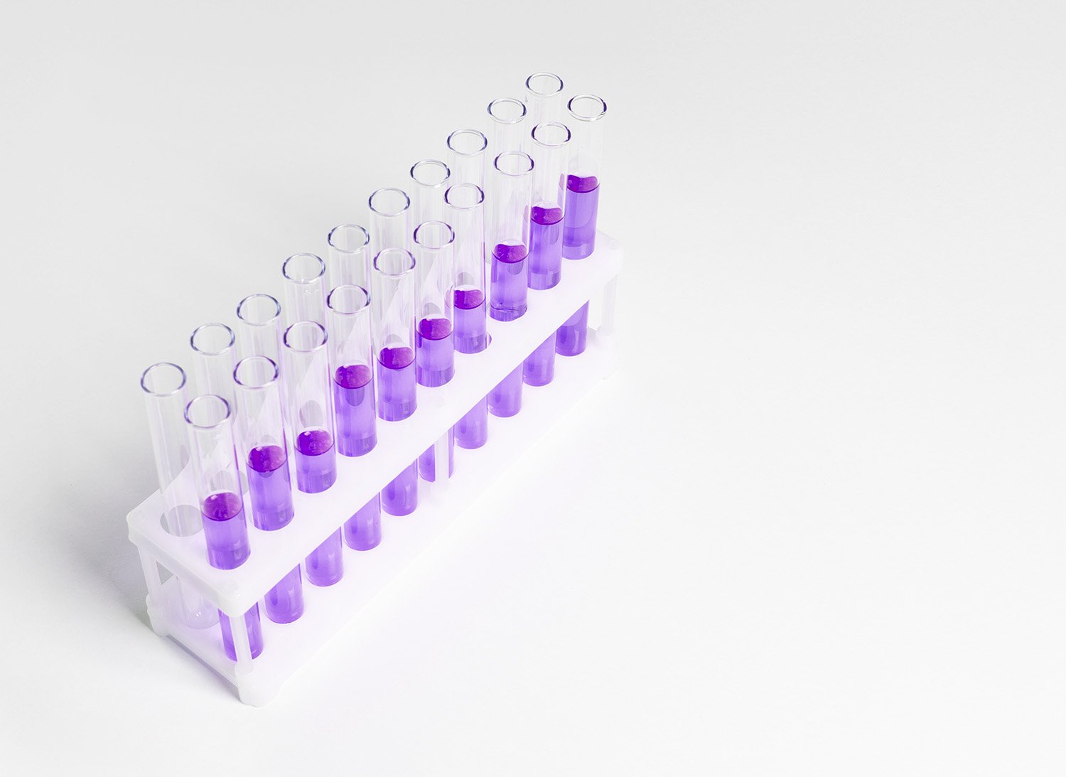 A white plastic test tube rack holding 18 clear test tubes filled with purple liquid on a white background.