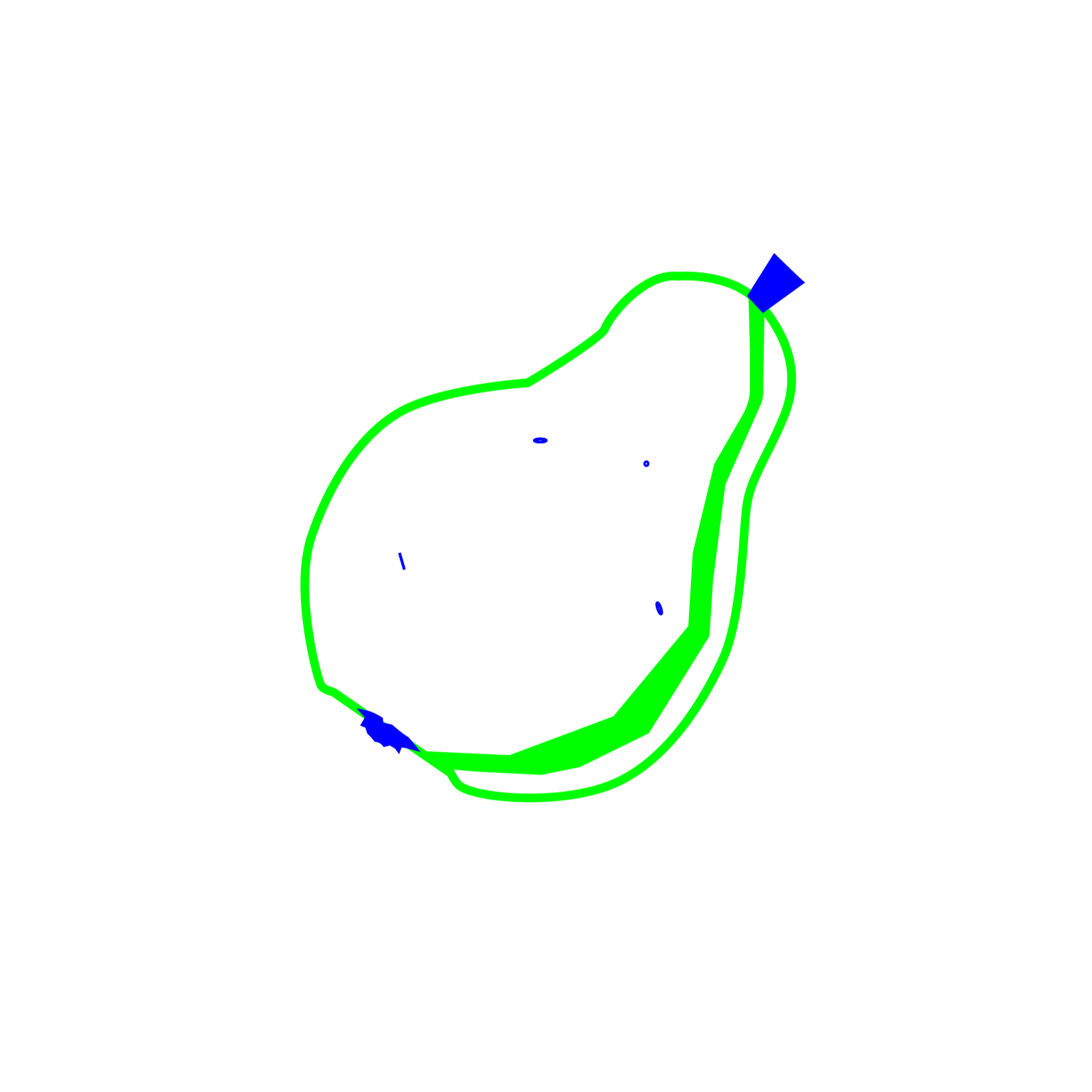 pear in vectors, bright green design in white background