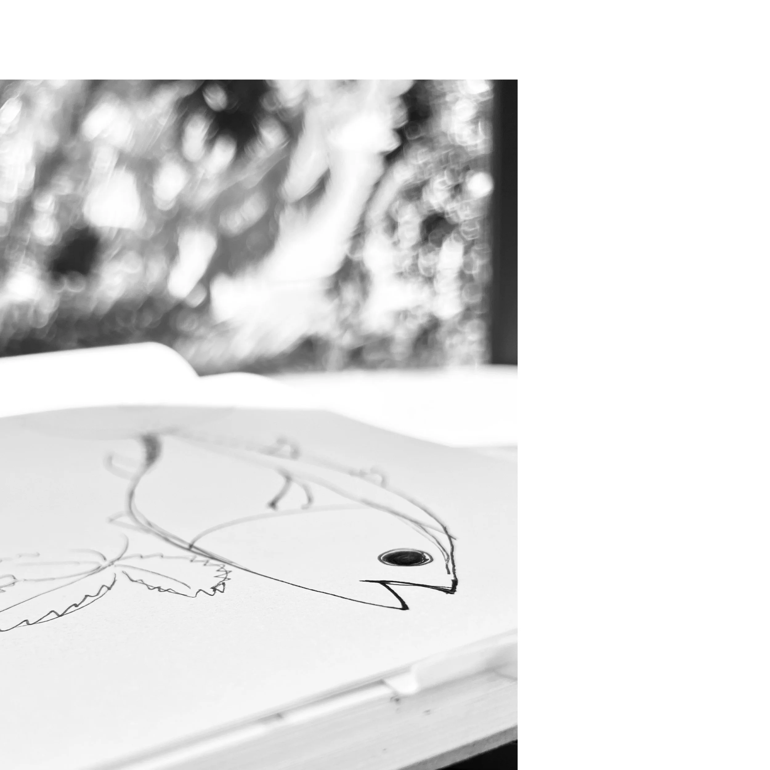 Drawing of fish logo in black and white