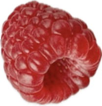 A close-up image of a ripe raspberry fruit.