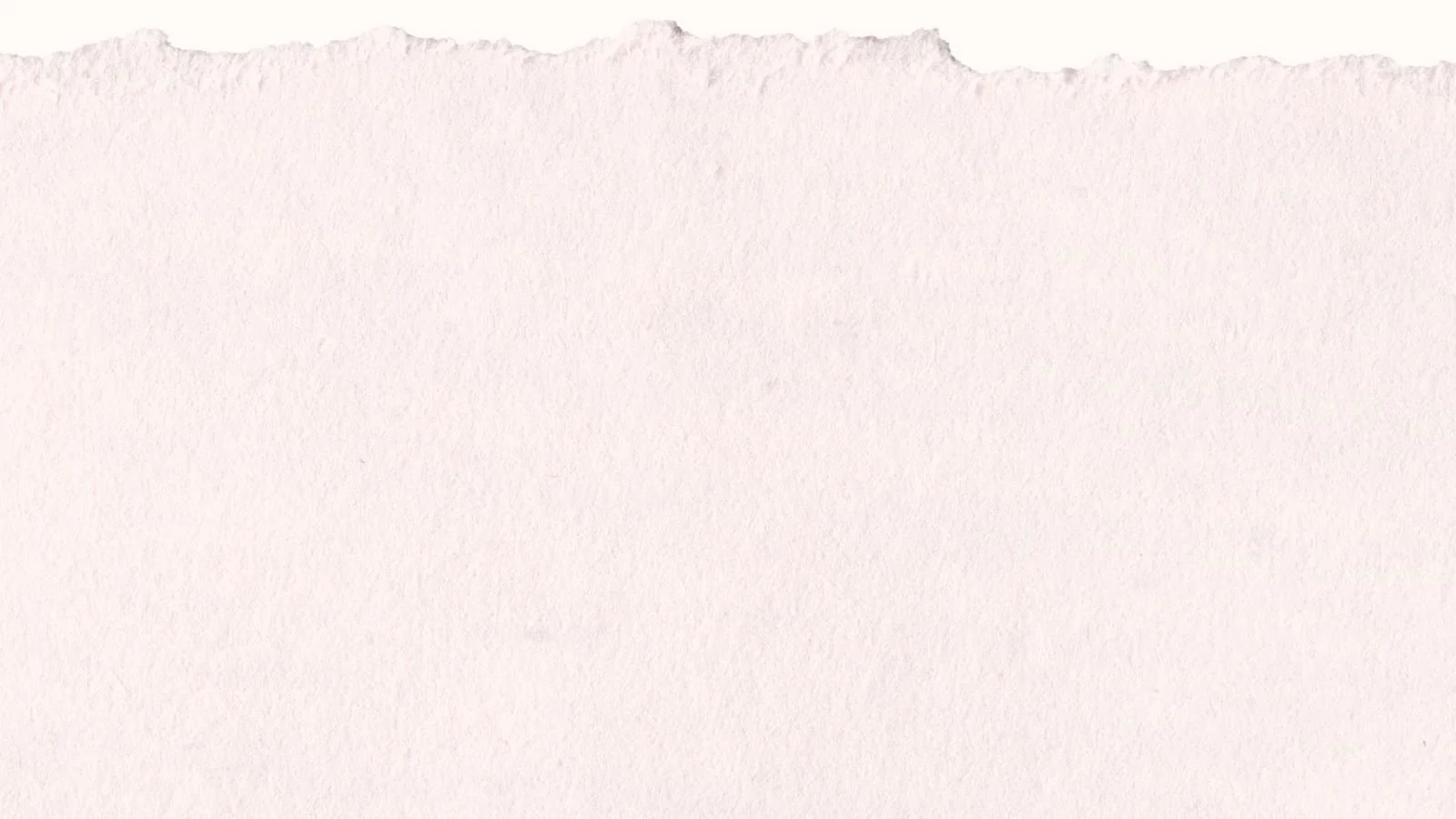 A blank piece of off-white, textured paper with torn, rough edges at the top.