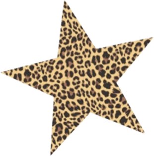 A star shape with a leopard print pattern.