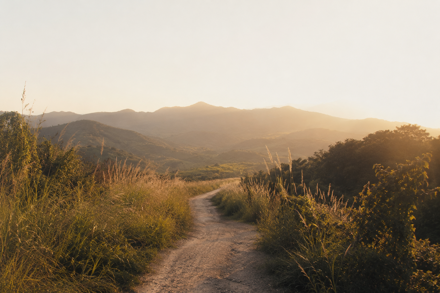 Dirt road winding through tall grasses and shrubs with mountains in the background and a warm, hazy sunlight casting a golden glow.