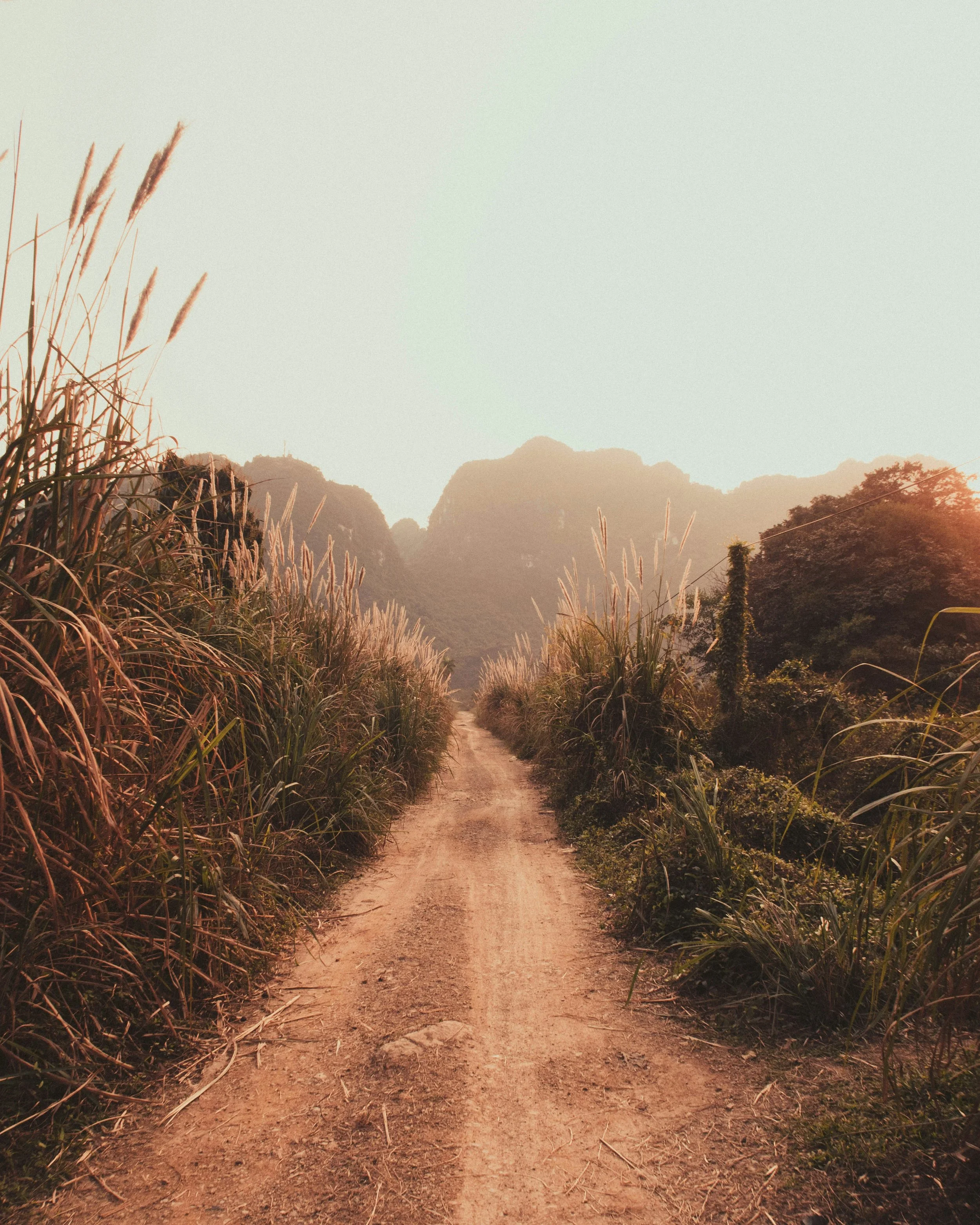 A dirt path travels through a lush, green valley surrounded by tall hills or mountains. The scene is illuminated by warm, golden sunlight, suggesting early morning or late afternoon.
